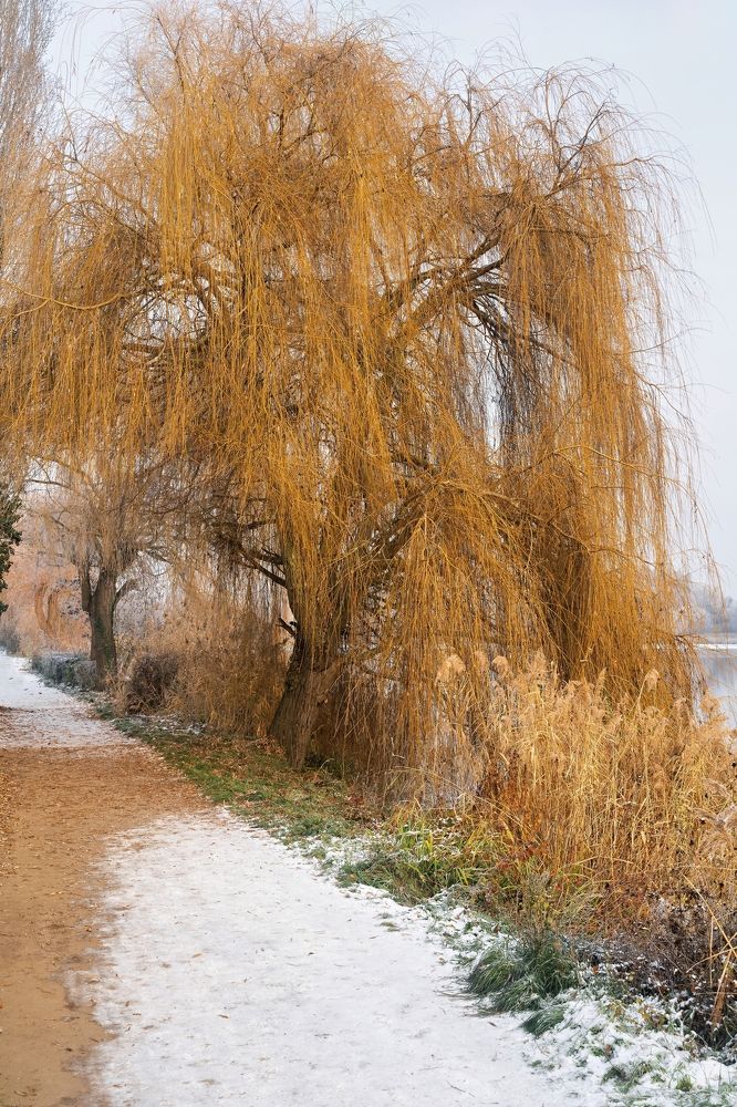 Photograph by Vadim Heinz