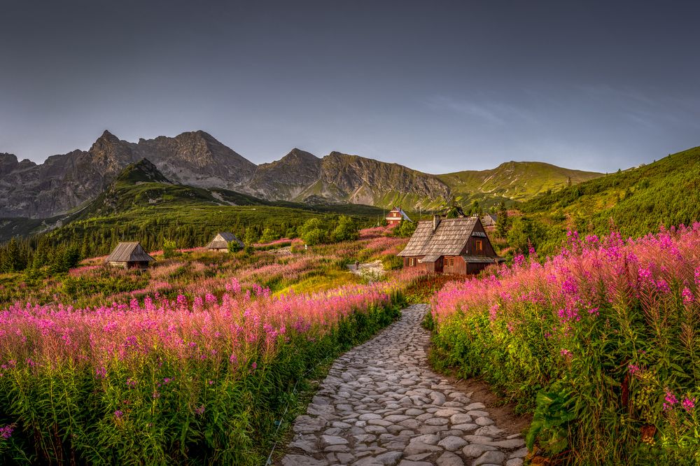 In a mountain paradise