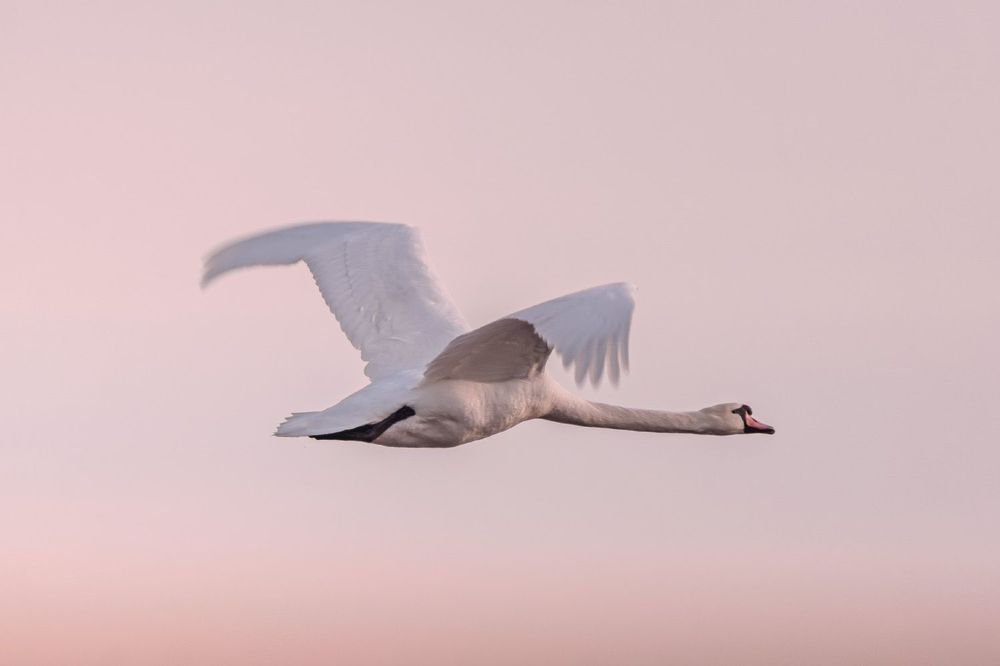 Photograph by Юлия Страданченкова