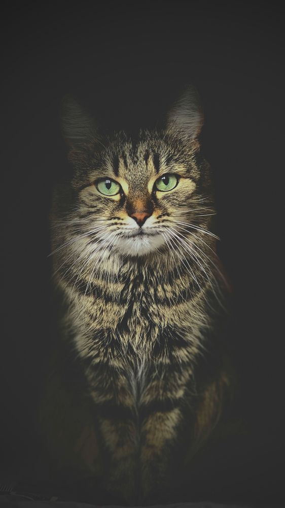 Photograph by Михаил Позняк