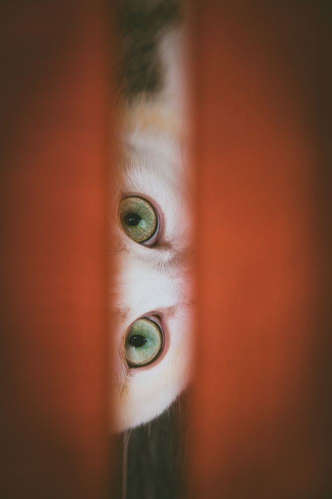 Photograph by Константин Россихин