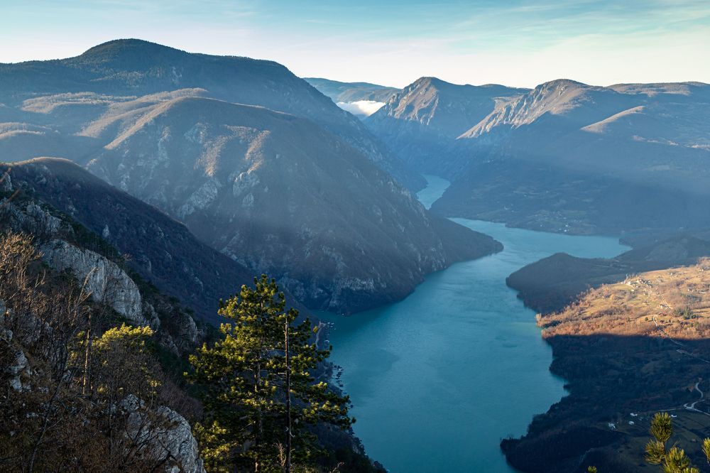 Фотография автора Minja Jovetic