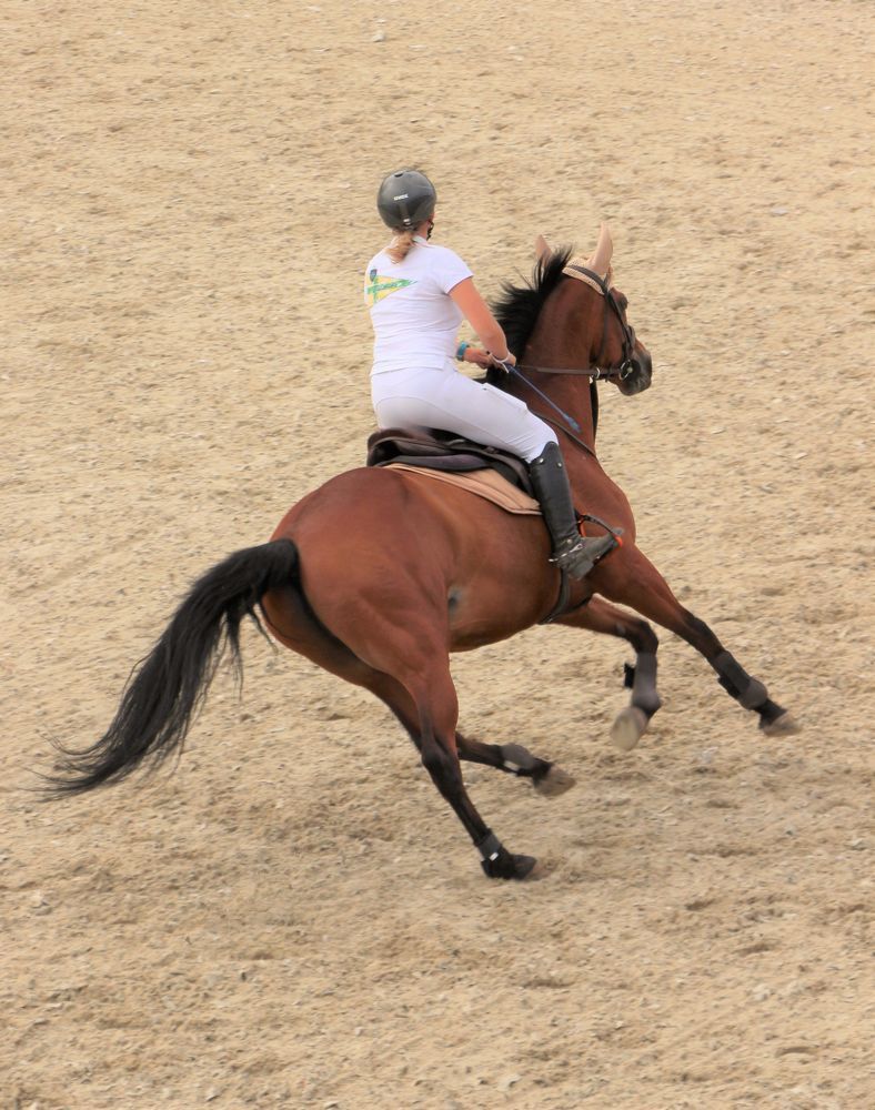 Наравне с ветром