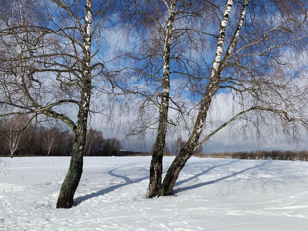 весна света