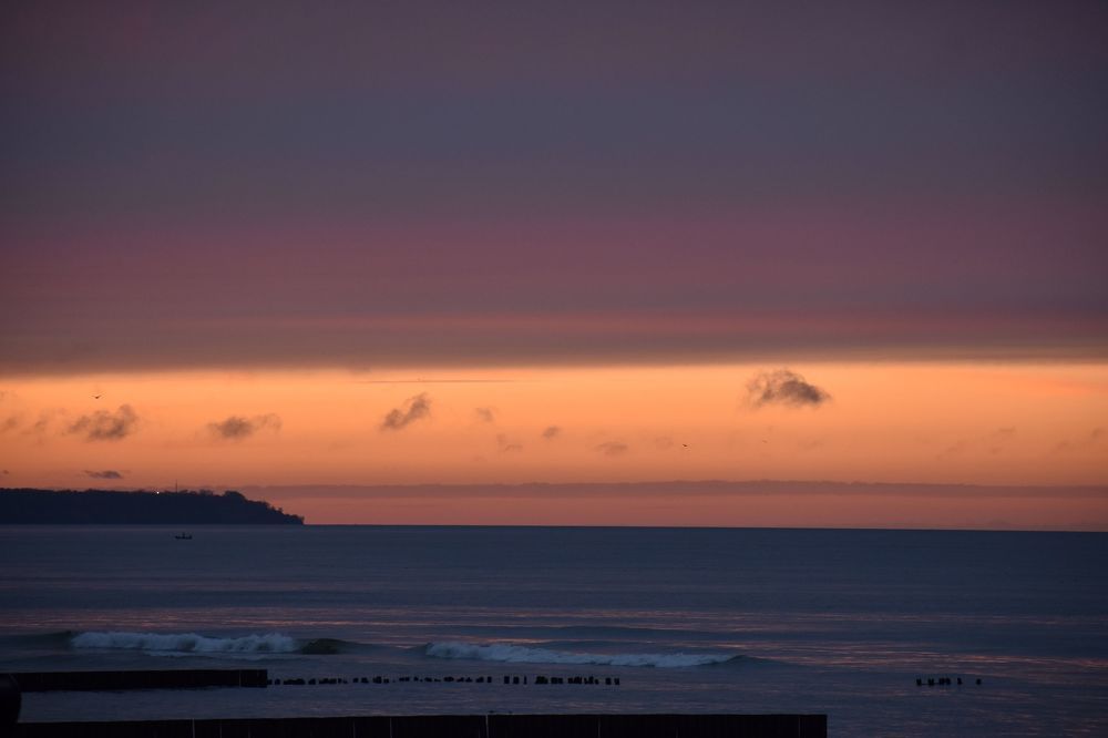 Purple sea
