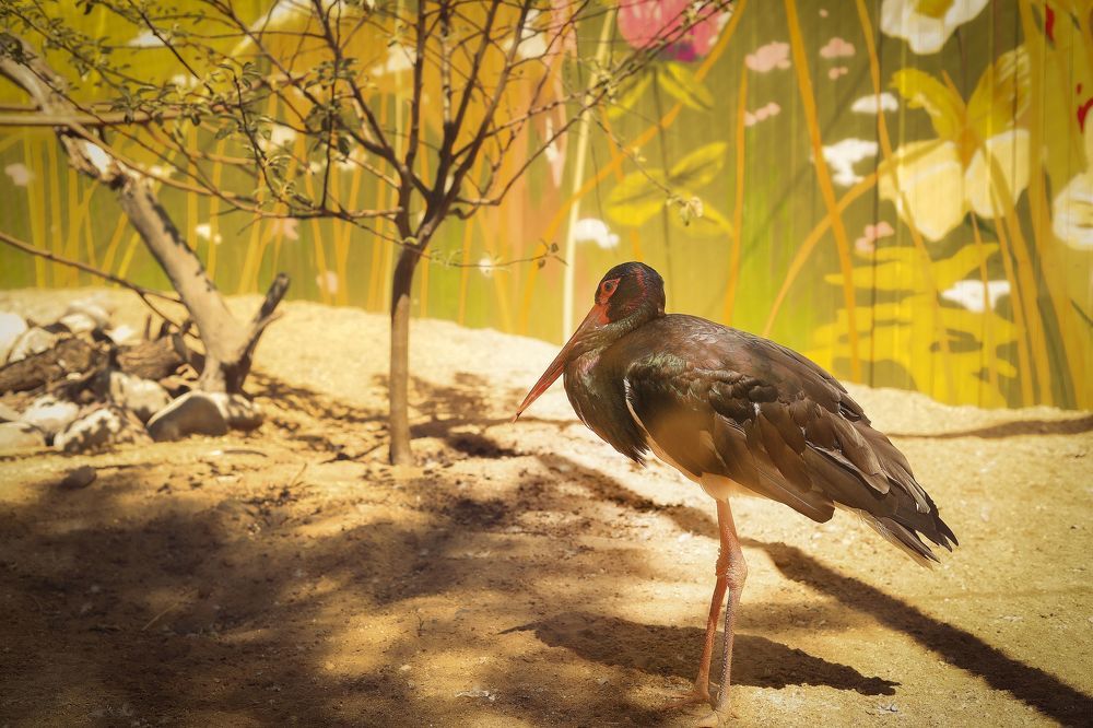 Photograph by Mary Ryzhenkova