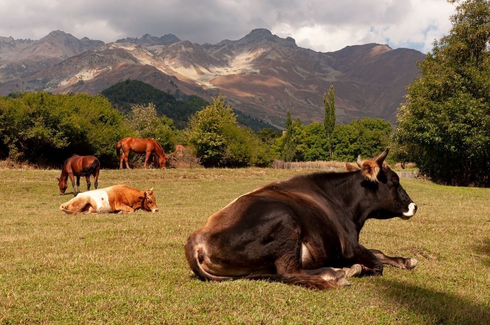 В горах Сванетии