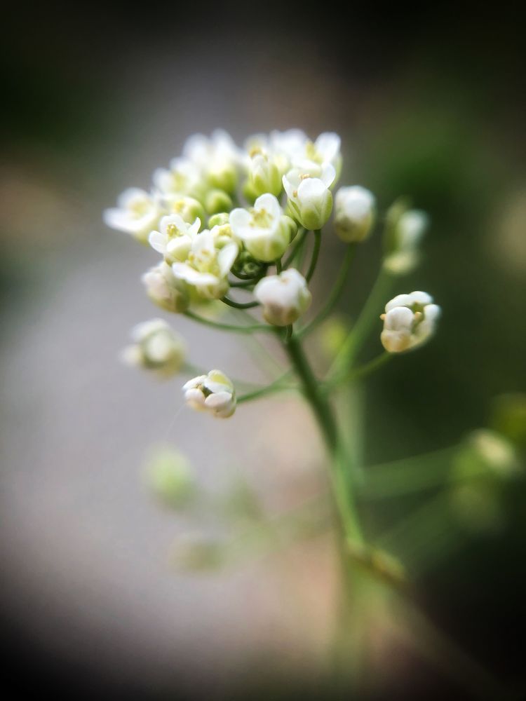 Photograph by Ксения Соснина