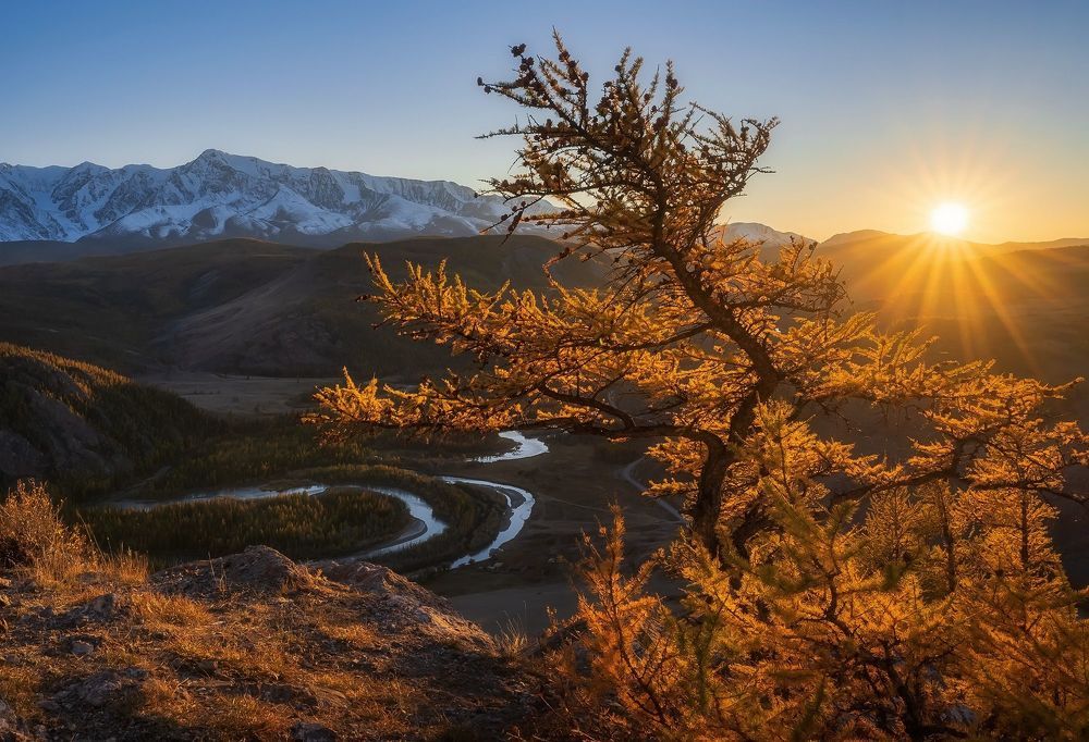 Photograph by Сергей Межин