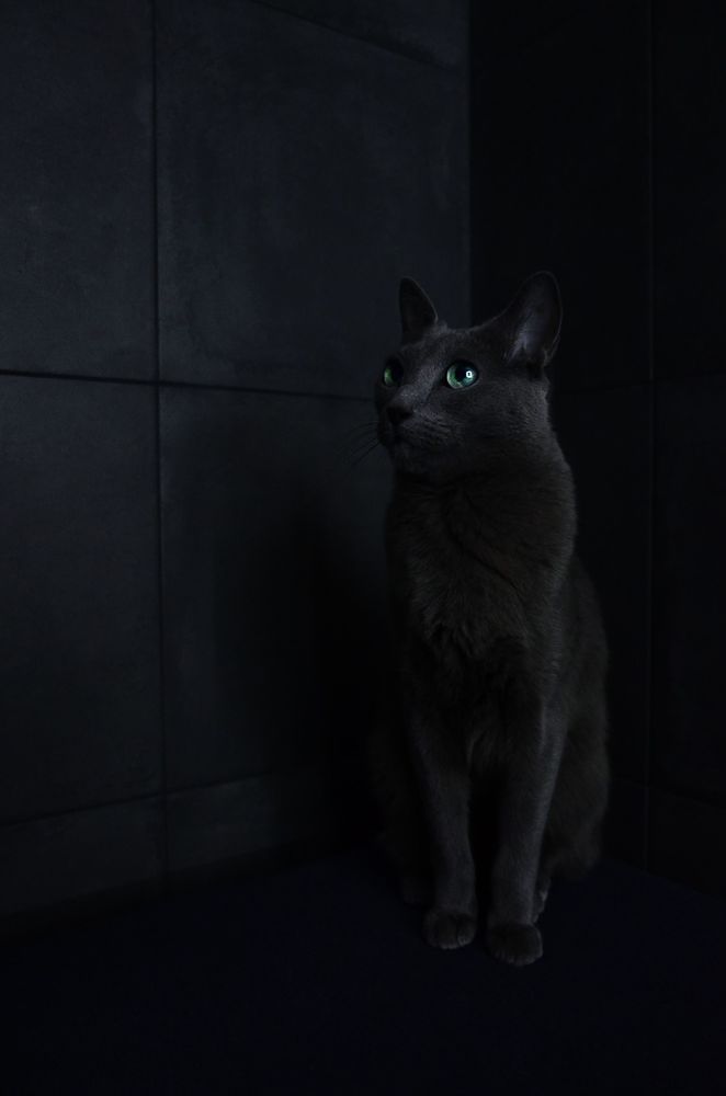 Photograph by Ольга Мукина