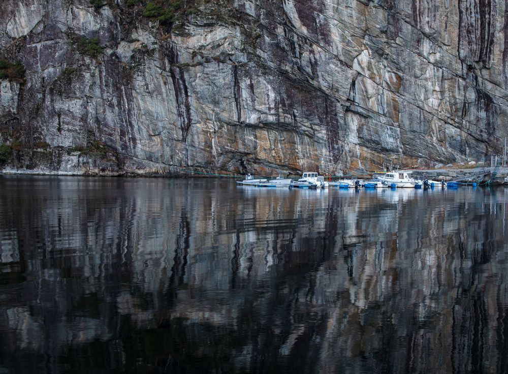 Photograph by Елена