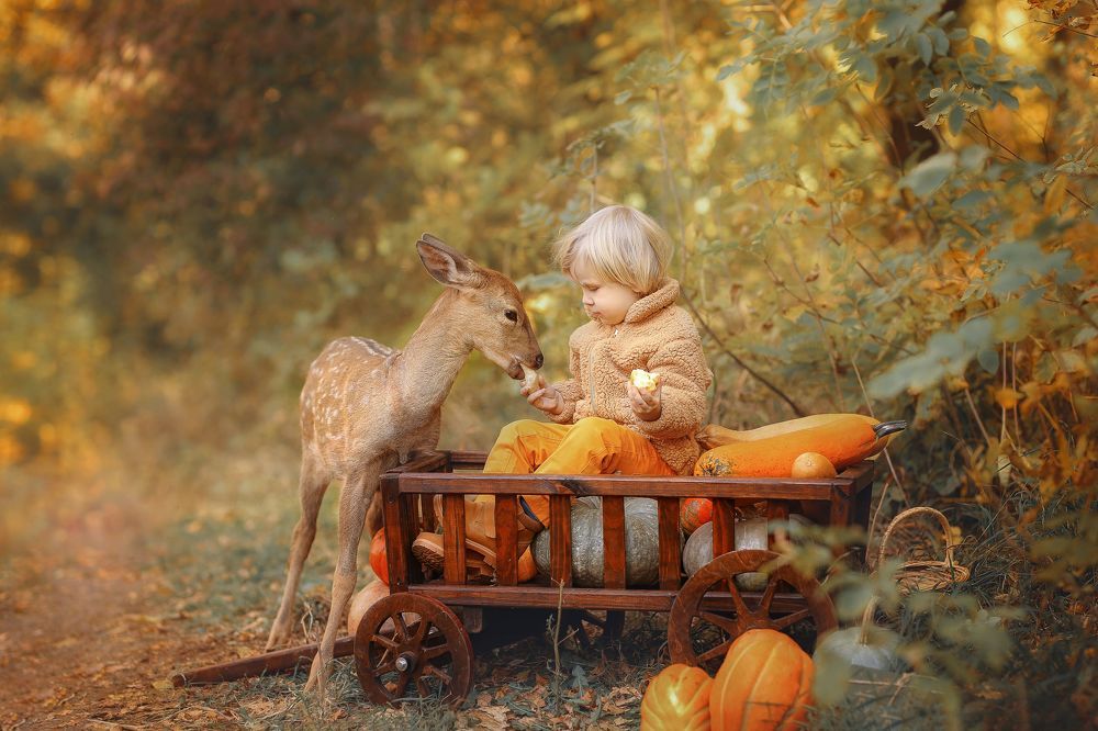 Photograph by Ольга Булавко