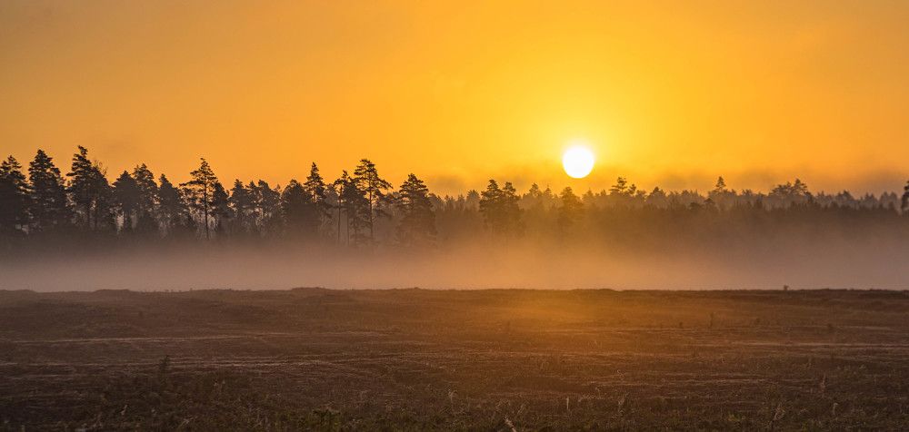 Photograph by Александр Есликов