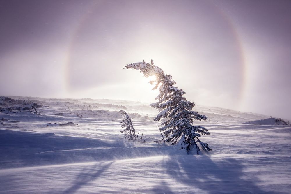 Photograph by Станислав Аристов