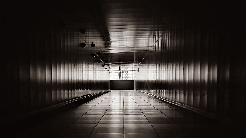 Photograph by Мария Сазонова