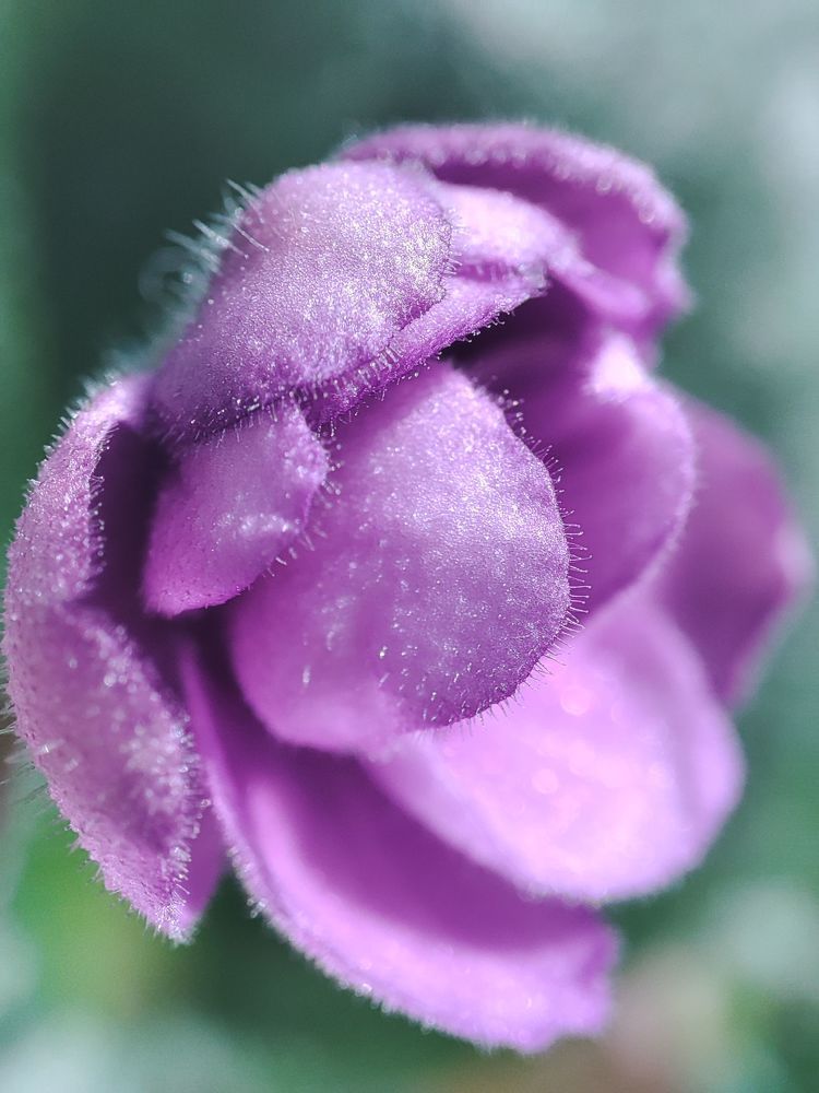 Photograph by ValentinaK