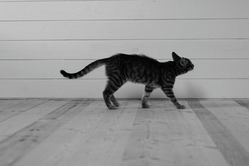 Photograph by Катерина Гордик