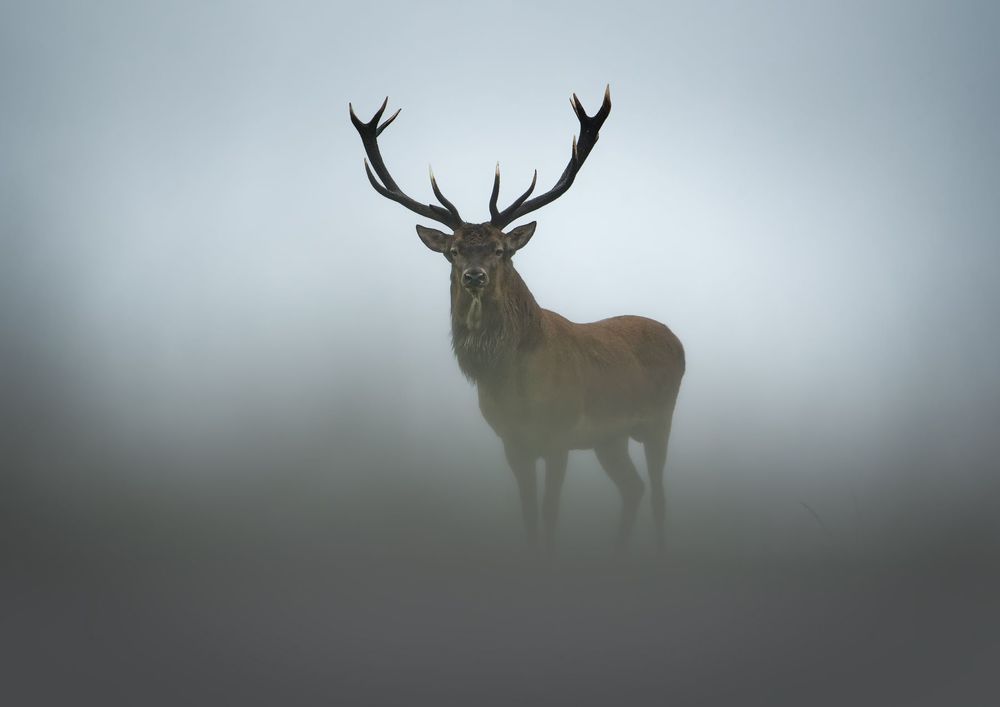 Эфемерность