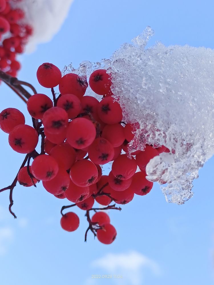 Photograph by Лена