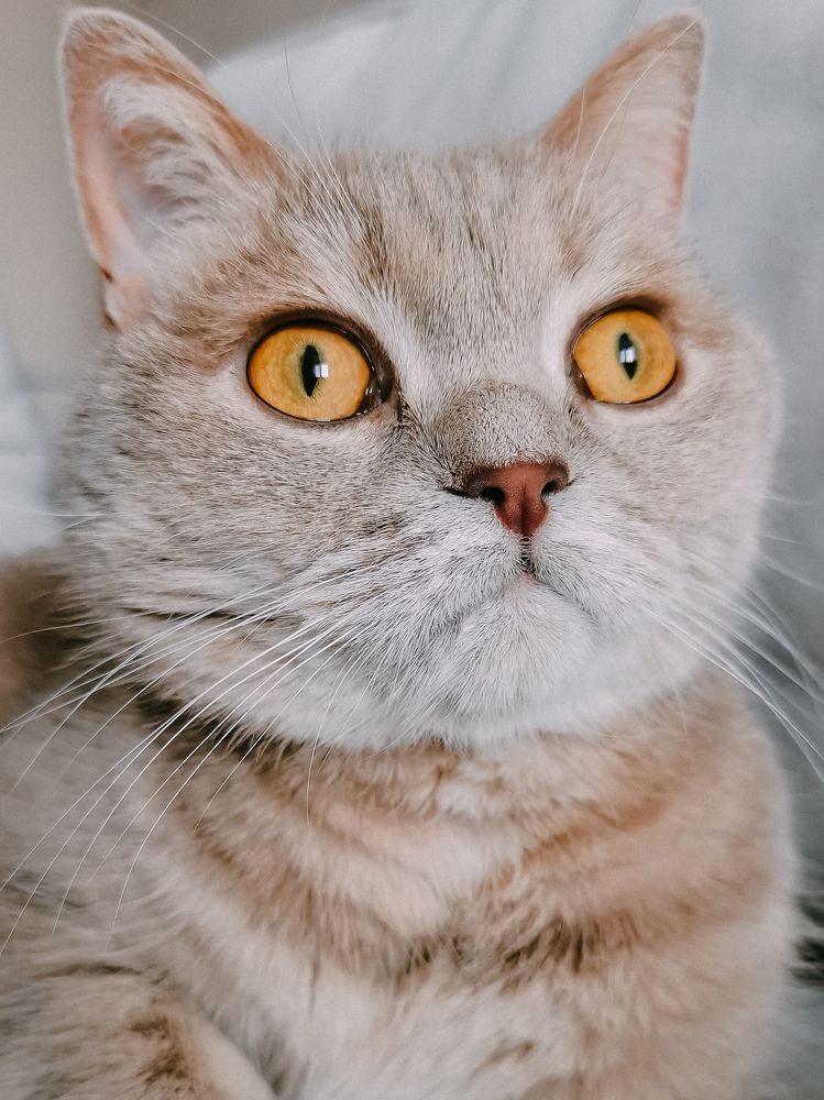 Photograph by Екатерина Савеня