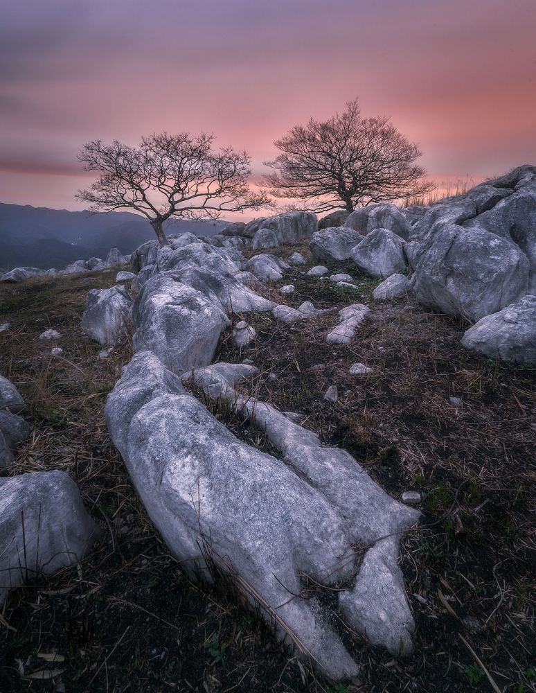 Photograph by Anh Vũ Nguyễn