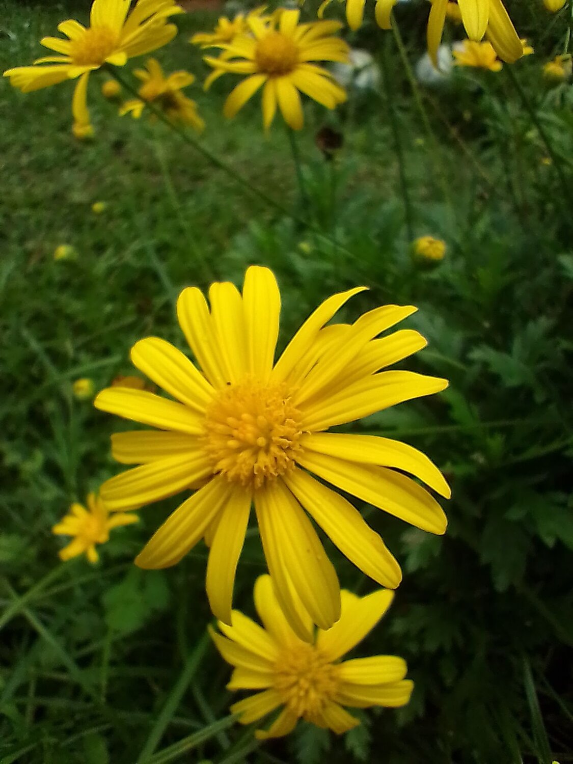 Photo #8967642