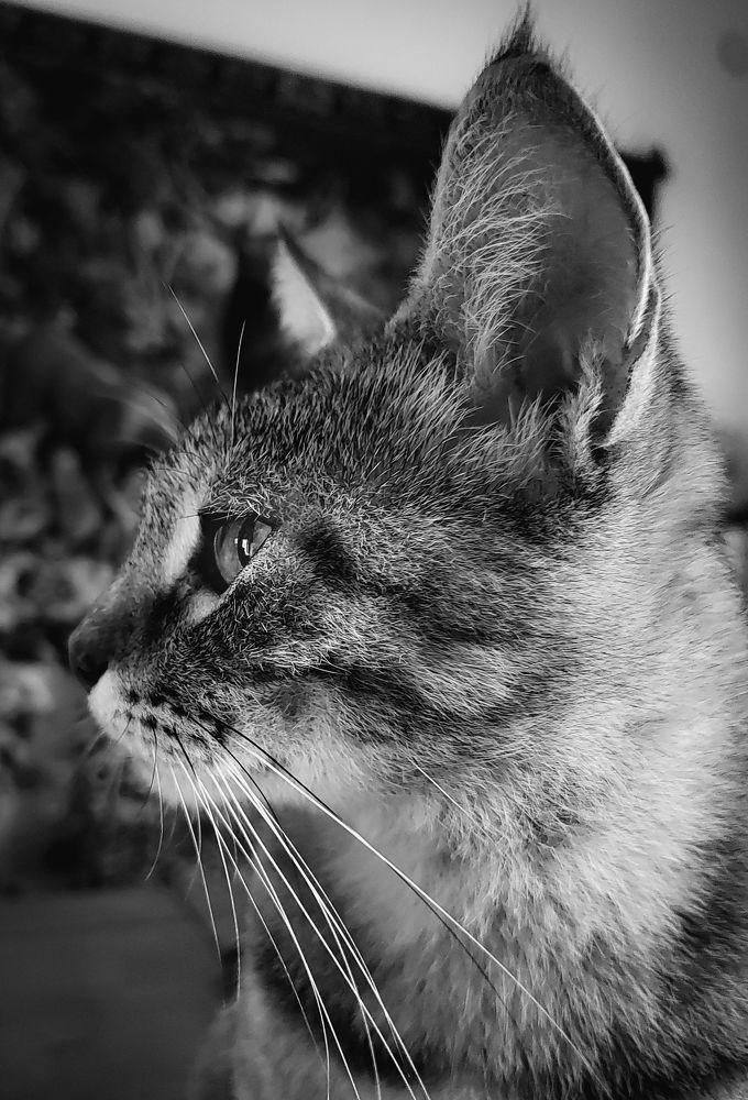 Photograph by José Luis Godoy