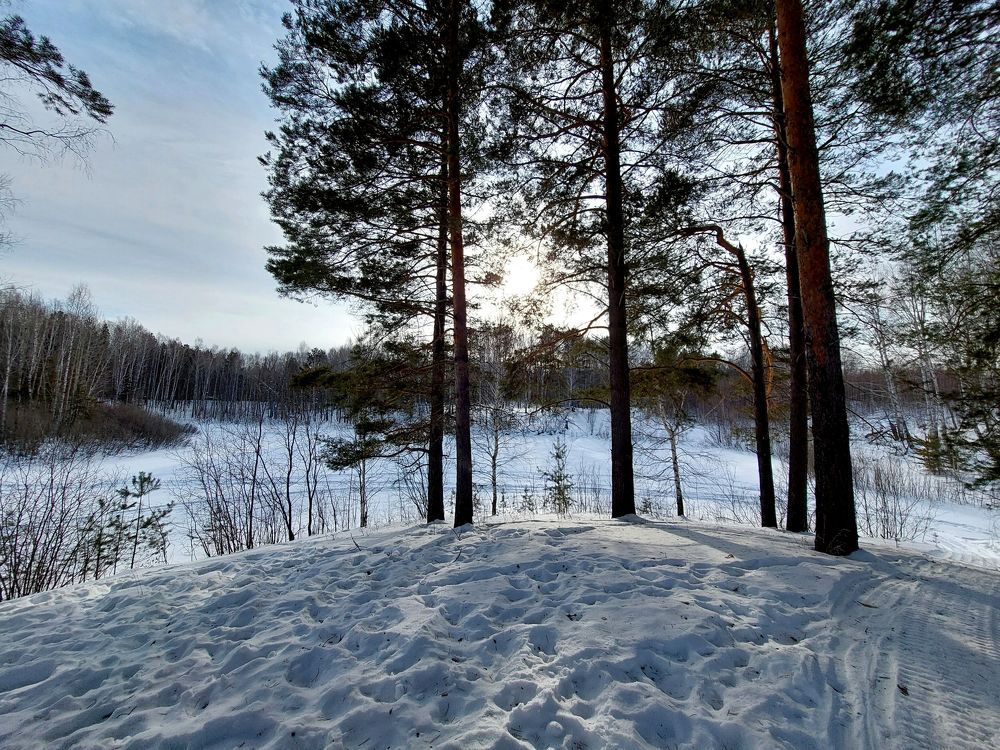 Вечерний пейзаж.