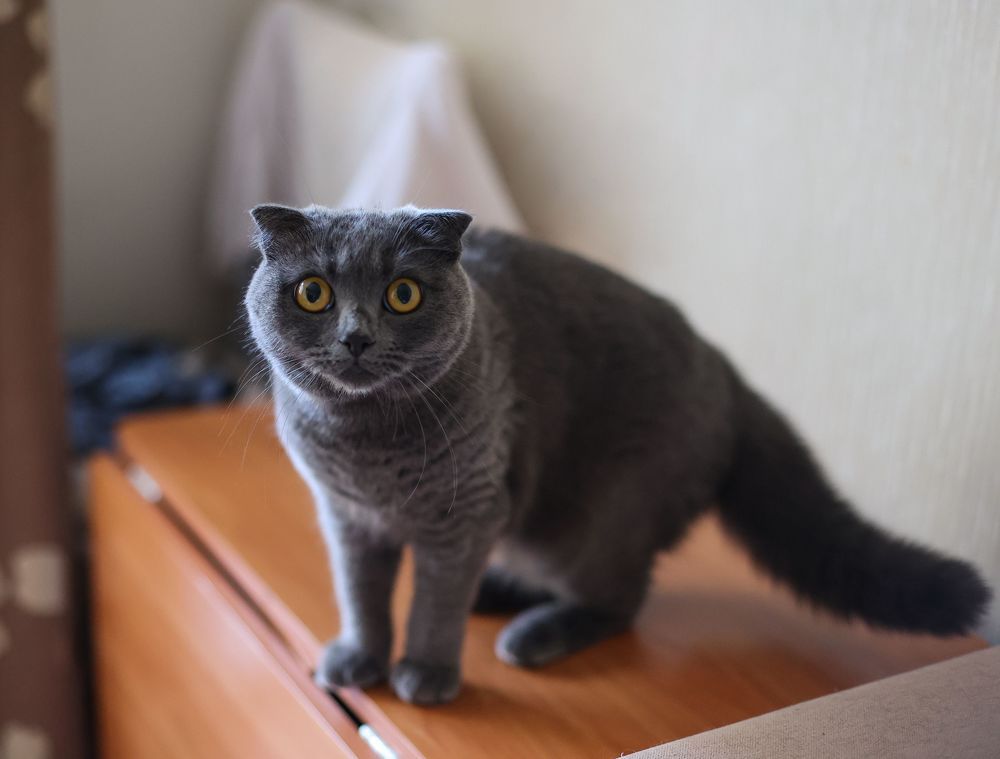 Photograph by Влада Александрова