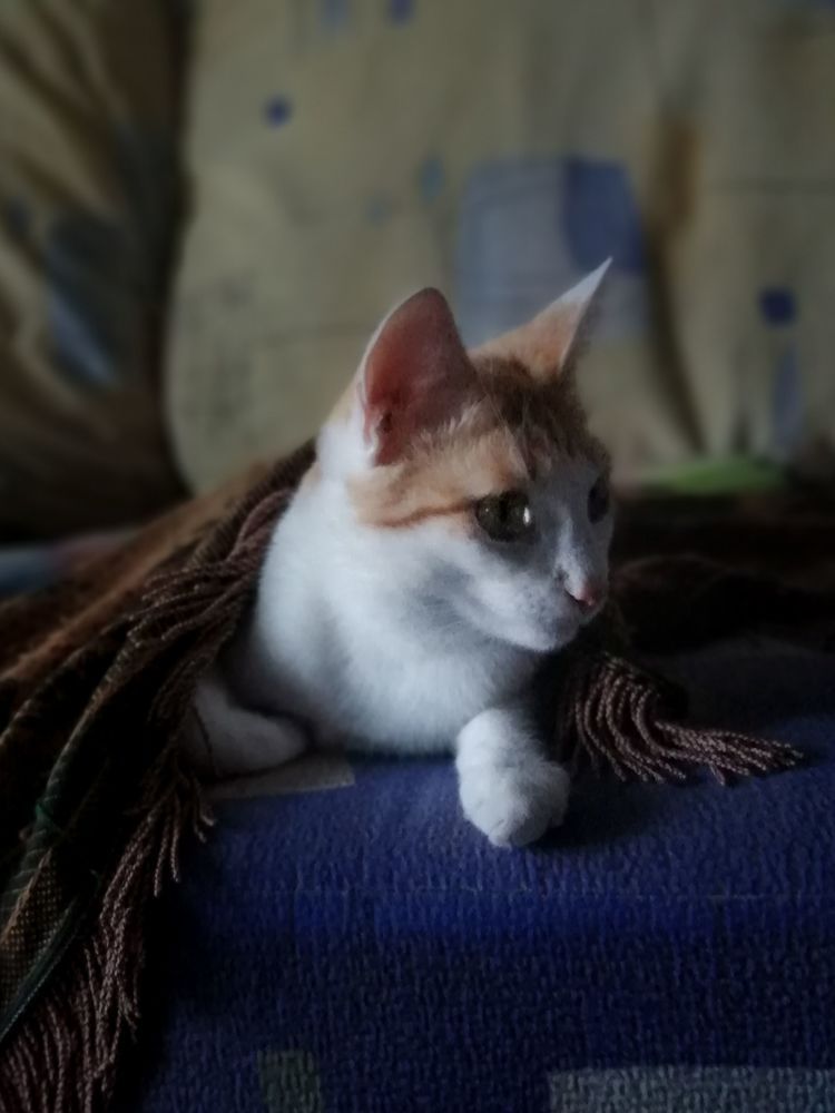 Photograph by Ольга Мокрова