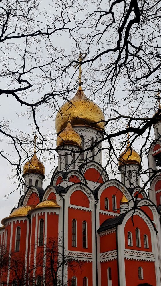 Фотография автора Владислава Андрюнина