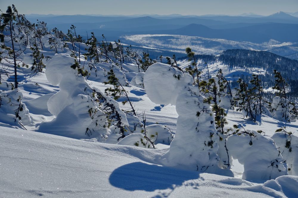 Photograph by Олег Печенегин