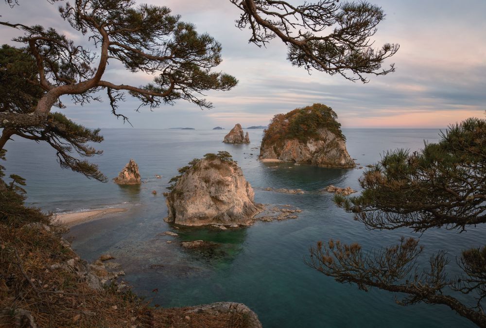 Photograph by Varvara Saprykina