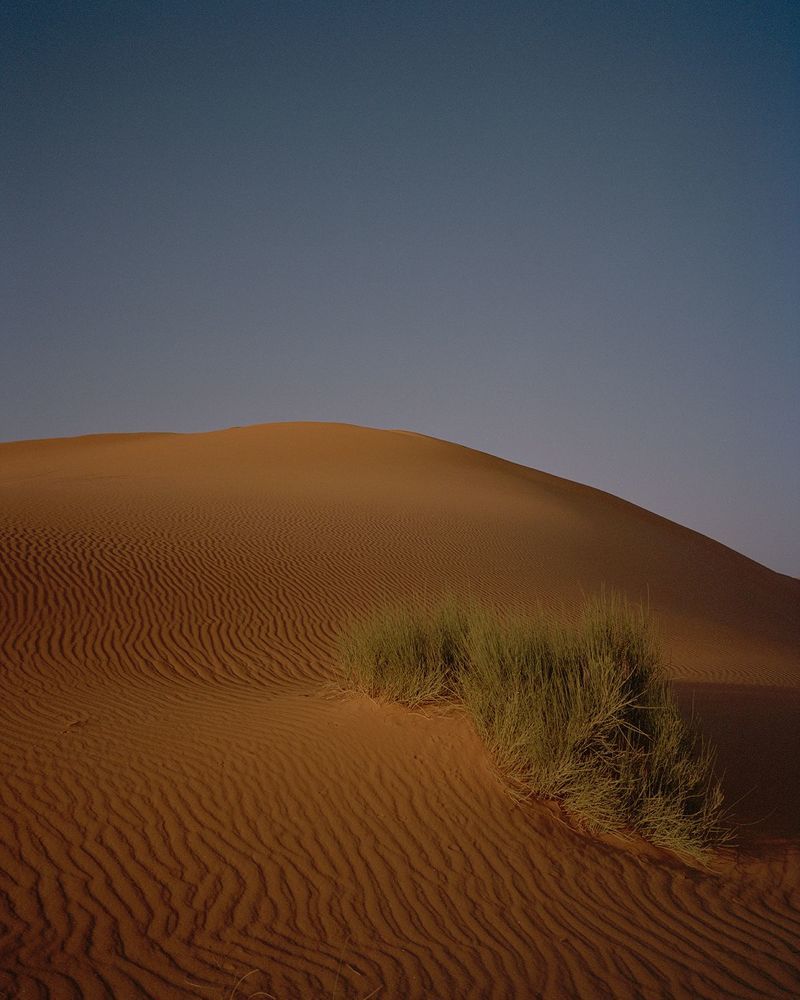 Photograph by Evgeniya Parfenova