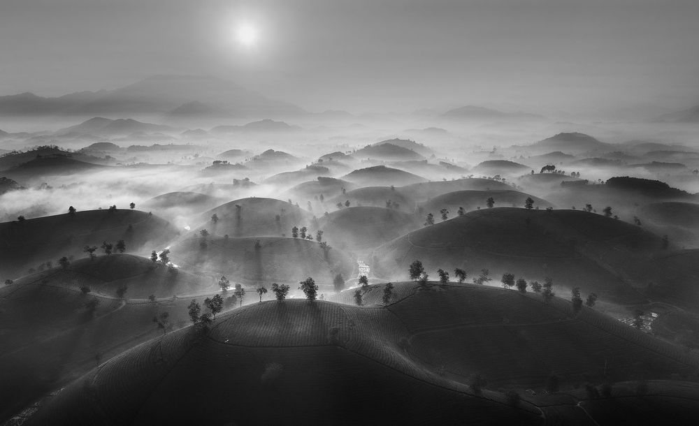 Sunrise in Long Coc tea hill