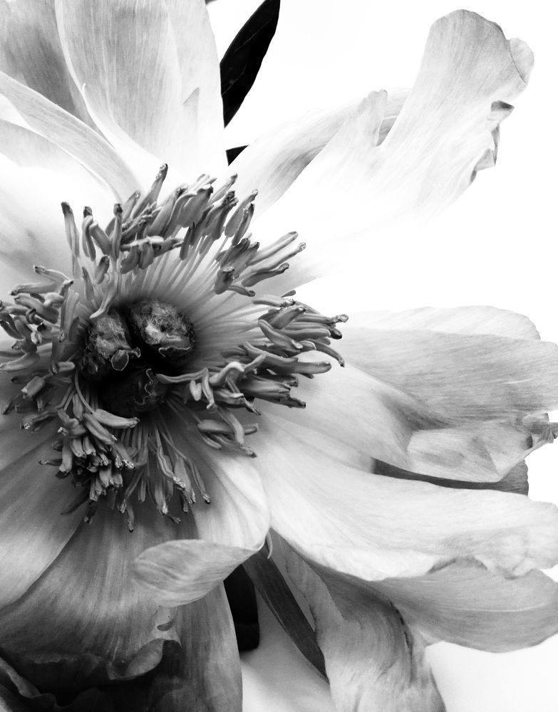 Photograph by Татьяна Дерябина