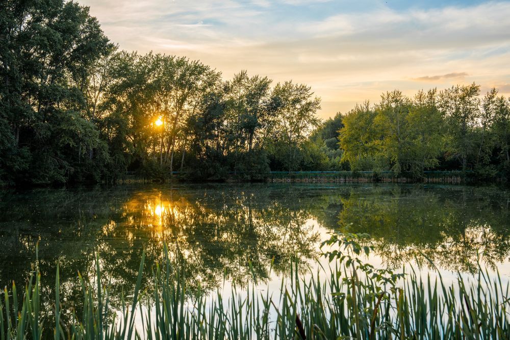 Фотография автора Александр Дюльгер