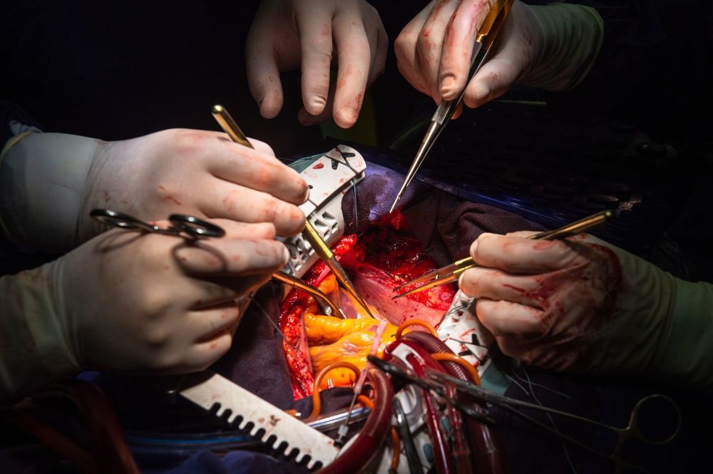 Photograph by Алексей Иванов