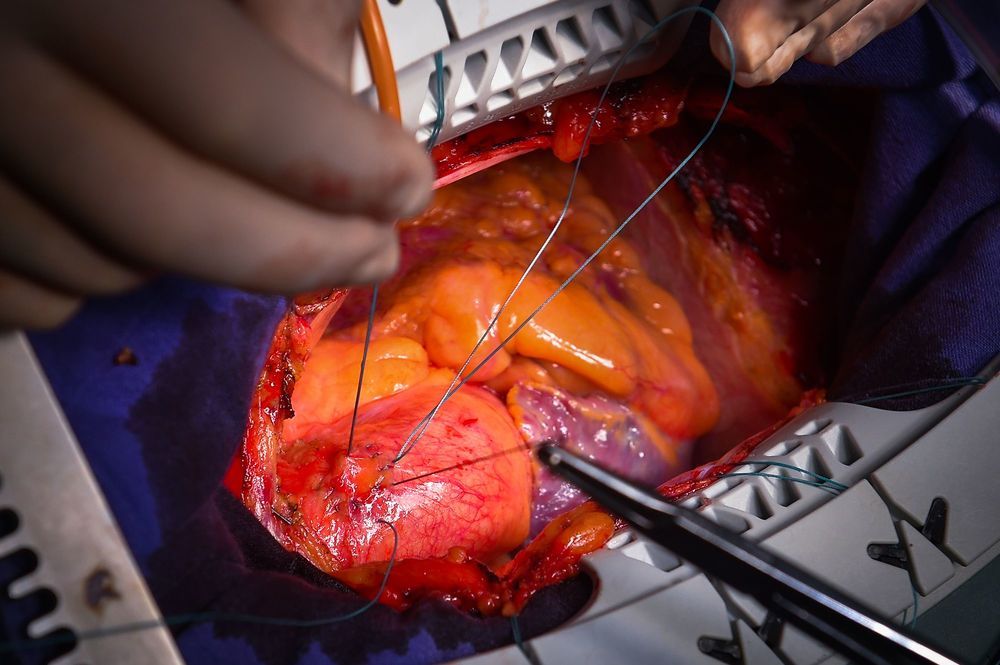 Photograph by Алексей Иванов