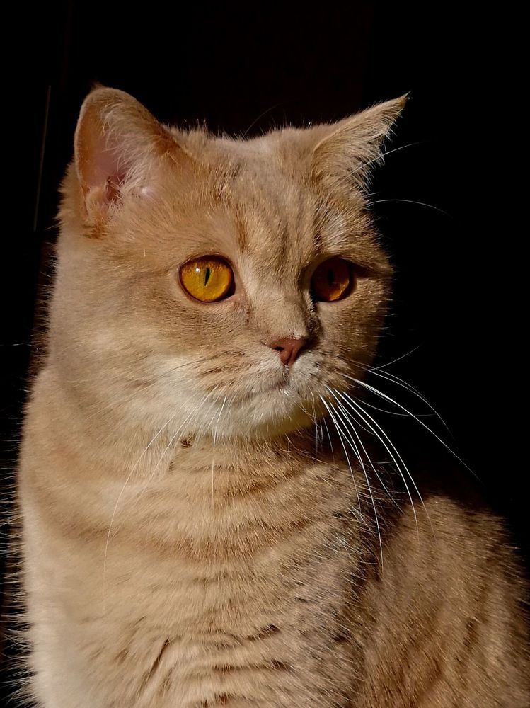 Photograph by Екатерина Савеня