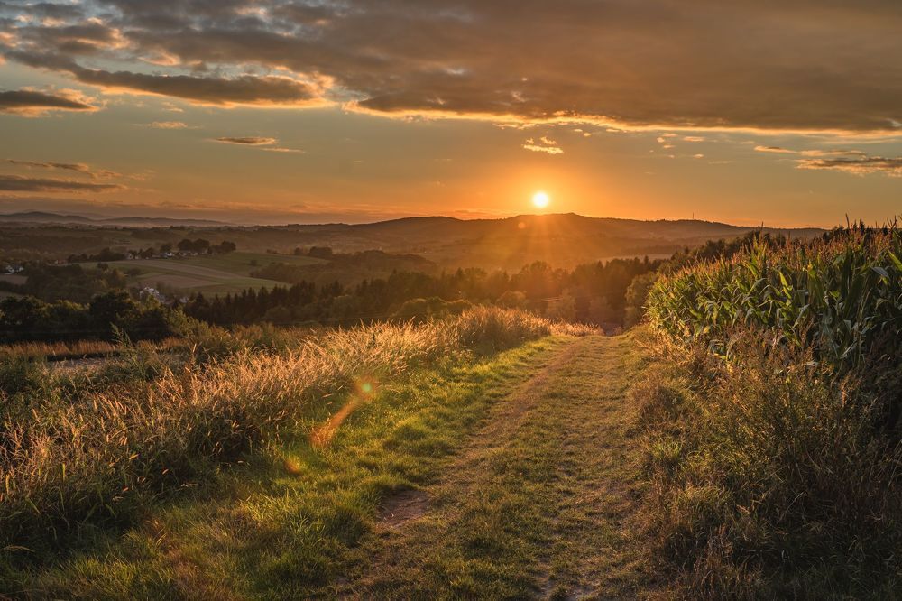 Photograph by Piotr Wrobel