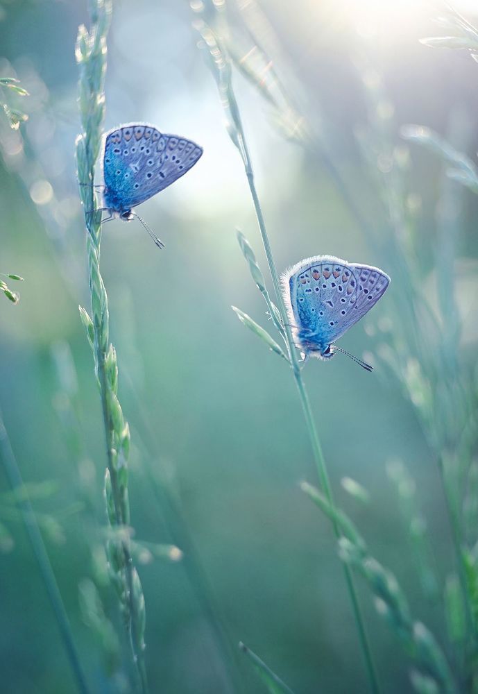 Photograph by Dana S.