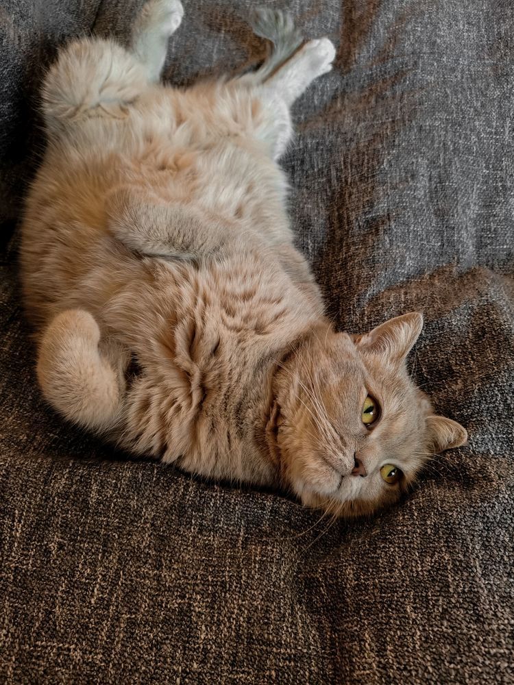 Photograph by Екатерина Савеня