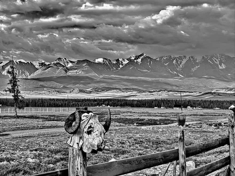 Photograph by Дмитрий Кузнецов