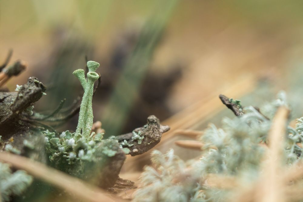 Photograph by Анна Вербилова