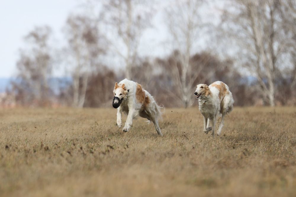 Photograph by Анна Вербилова