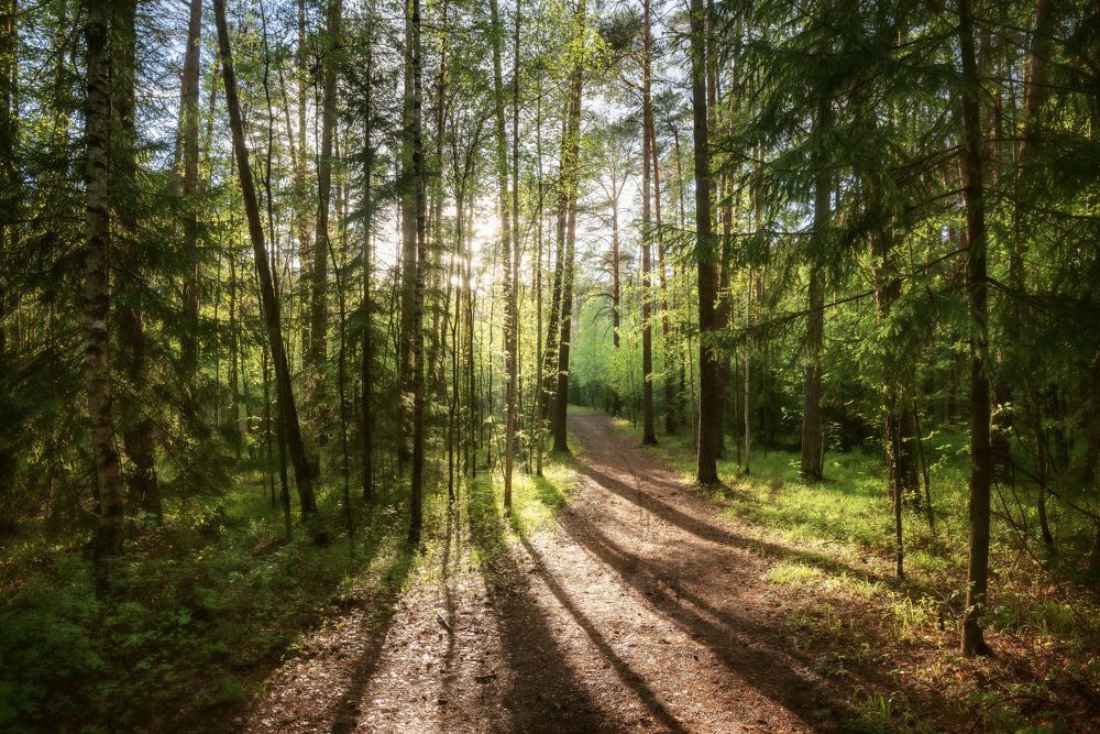 Photograph by Соколова Елена