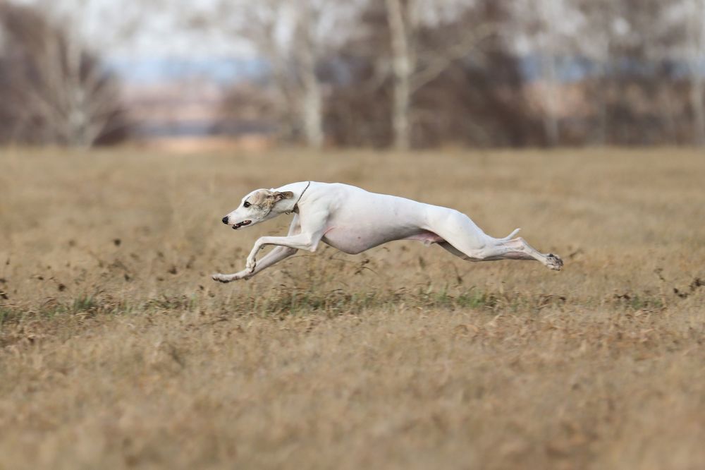 Photograph by Анна Вербилова