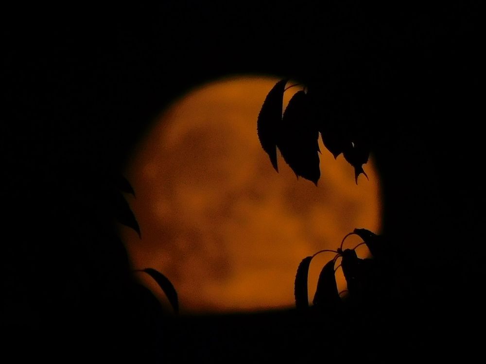 Photograph by Алена