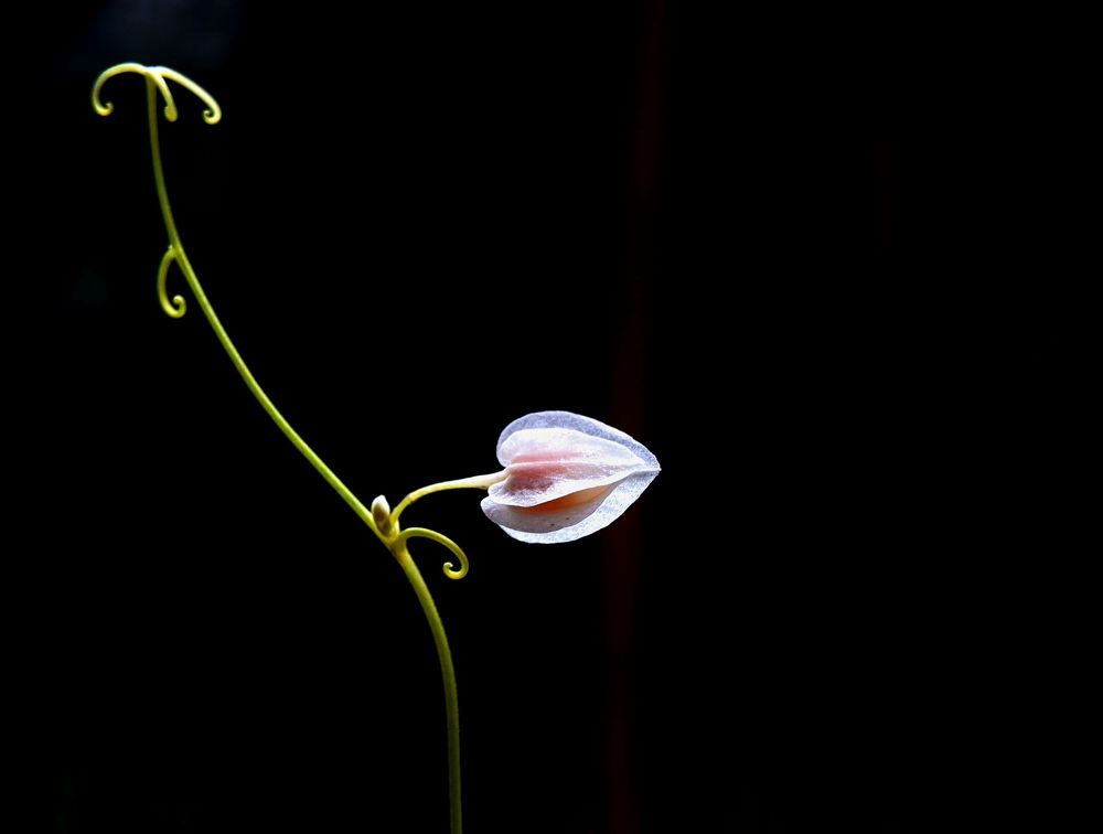 Photograph by NGUYEN LIEN